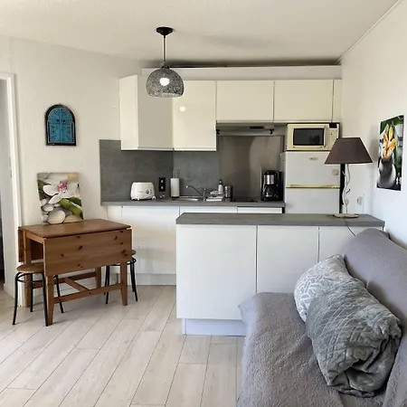 Capao Joli 2 Pièces Piscine Richelieu Cap D'agde * Agde
